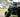 What to look for when buying a used ATV
