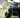 What to look for when buying a used ATV