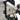 White background image of a Can-Am Outlander PRO, focusing on the PERFEX Industries front A-arm guards protecting the suspension components of the ATV. Ideal for off-road adventures.