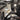 2" Lift Kit CAN-AM Outlander L 450/500/570 & MAX (2015-2022) - perfexind.com - Lift Kit