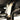 2" Lift Kit CAN-AM Outlander L 450/500/570 & MAX (2015-2022) - perfexind.com - Lift Kit